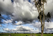 博洛尼亚客场平局，保持不败纪录