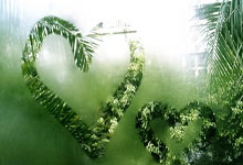 欧联杯赛事紧张展开，多支队伍集体发力冲刺冠军