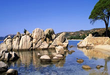 汉堡球队备战接下来的重要比赛